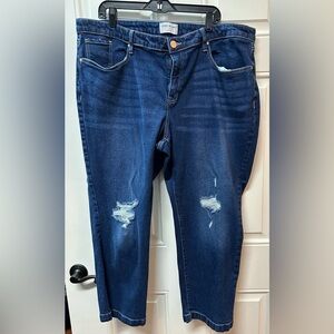 24W Lane Bryant deconstructed skinny jeans.